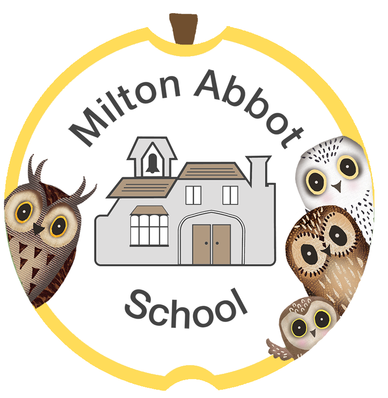 Milton Abbot Primary School Testimonials